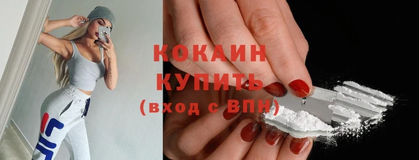 гидра Осинники