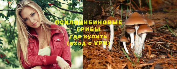 ALPHA-PVP Остров