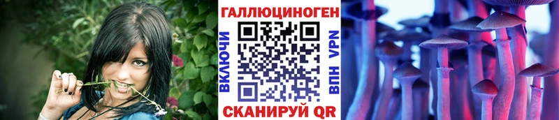 Псилоцибиновые грибы мицелий  мега tor  Константиновск 