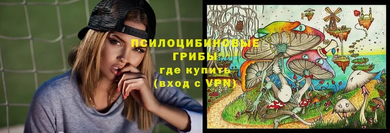 Псилоцибиновые грибы мицелий  shop какой сайт  Константиновск 